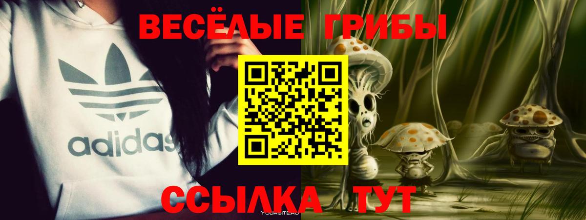 Псилоцибиновые грибы мухоморы Сухой Лог